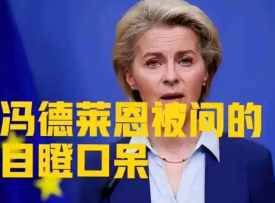 12月欧盟会议，冯德莱恩刚宣布“永久停购俄油气”，芬兰代表突然问：“若特朗普对委