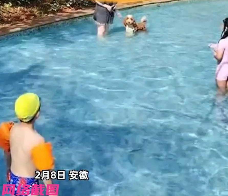 安徽有男子到自家小区的游泳池里游泳，却让他看到不和谐的一幕。

原来有名女业主带