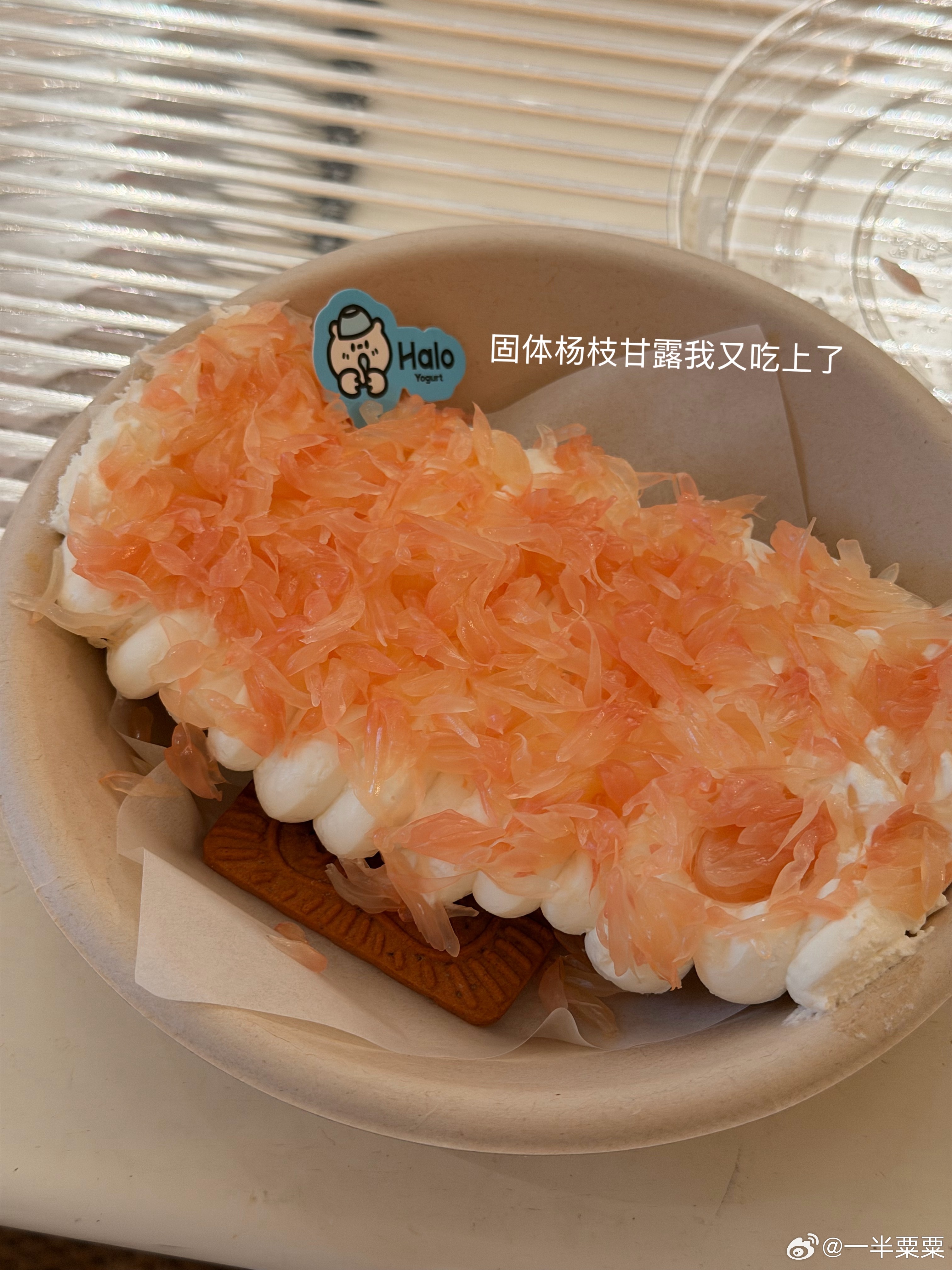 感受平静的小幸福～我的日常plog