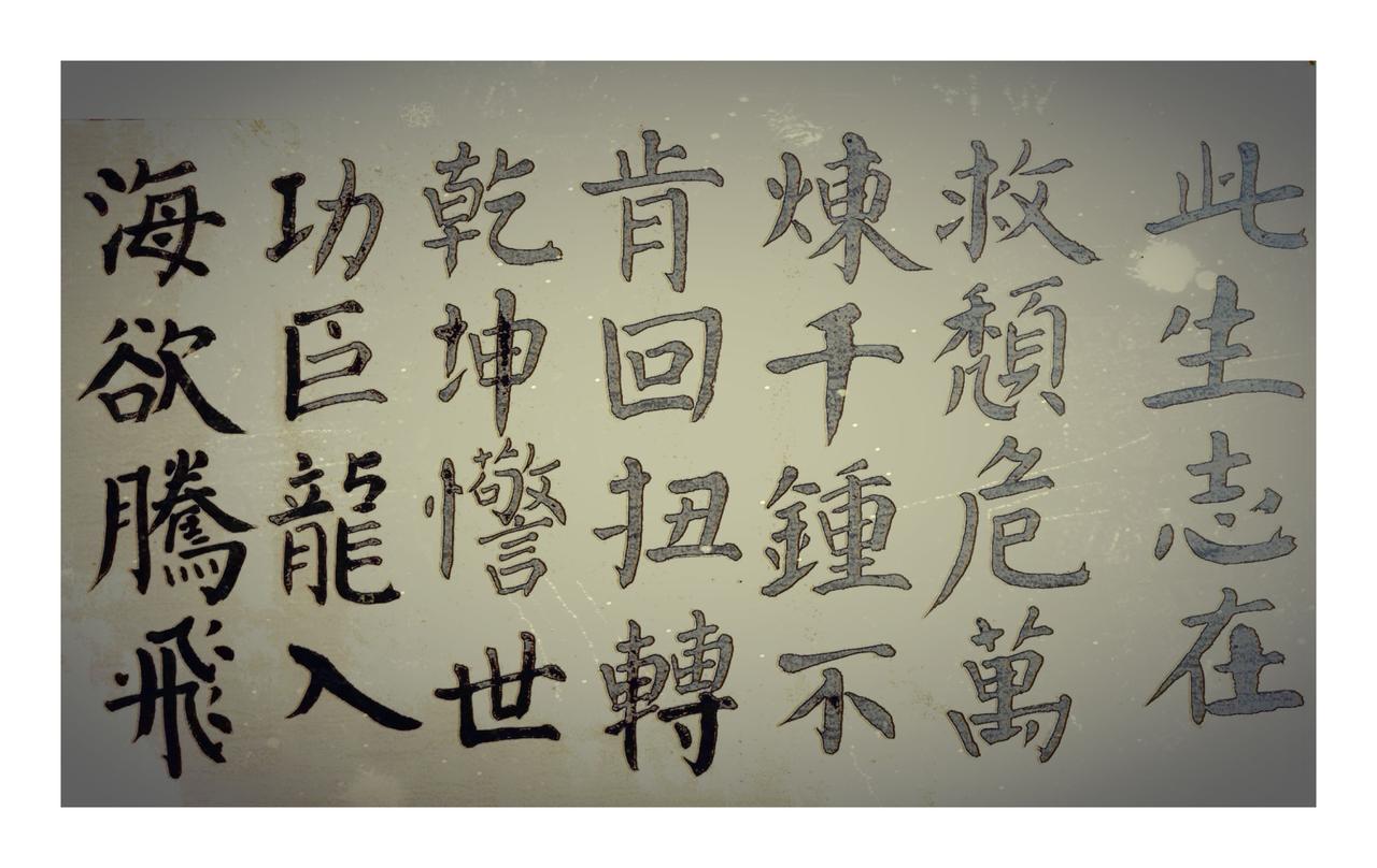 此生志在救颓危，百炼金刚亿万锤
扭转乾坤惊世功，开天辟地赞精卫
一点心香报紫薇，