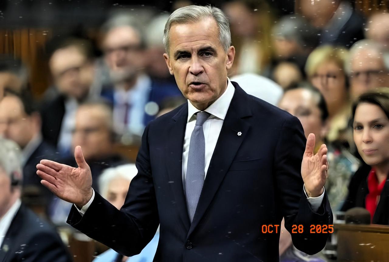 不怀好意的贸易打压！
加拿大边境服务署于近日突然发布公告，正式对原产于中国的卡车