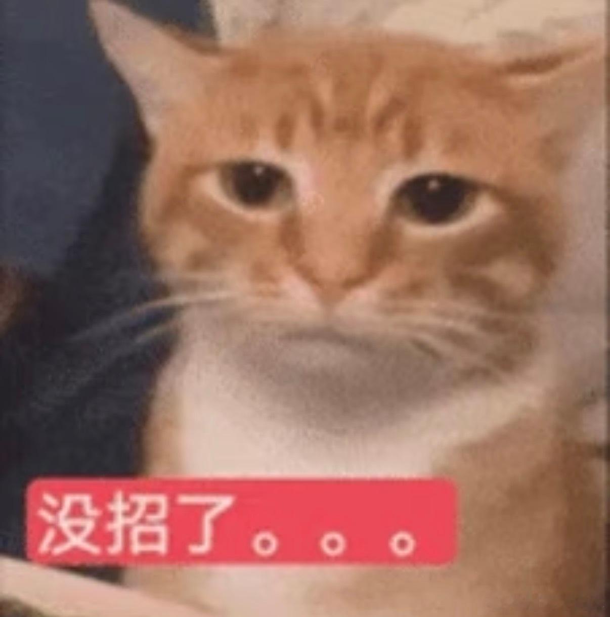 巴拉圭赢德国全国放假一天巴拉圭世界杯5:4战胜德国后，全国放假一天。本次世界杯德