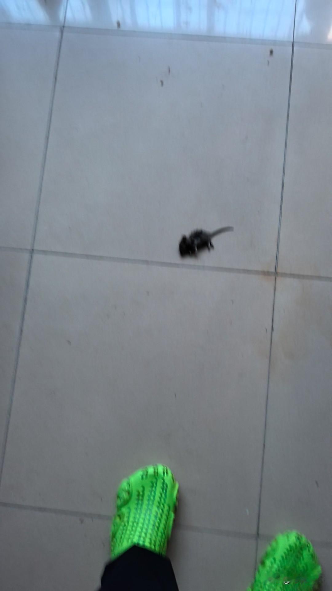 正在看一本书，讲中国历史，刚看到五代十国，石虎，石邃父子，深恶痛绝。
《晋书》记