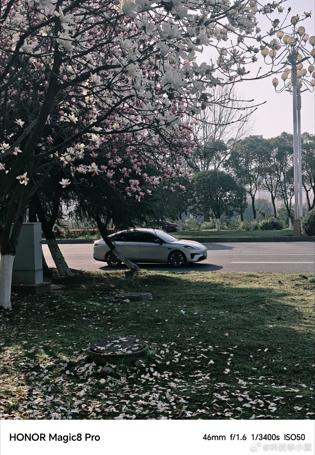 iPhone长焦 出片我最近喜欢用我荣耀magic8 Pro拍出来的照片这个季节
