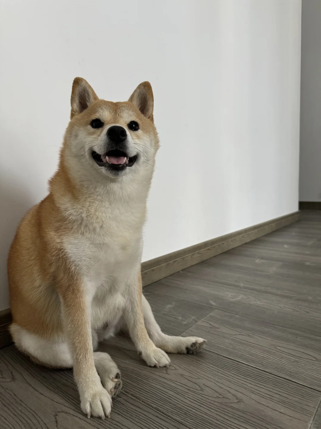 坐姿大爷 内心少女