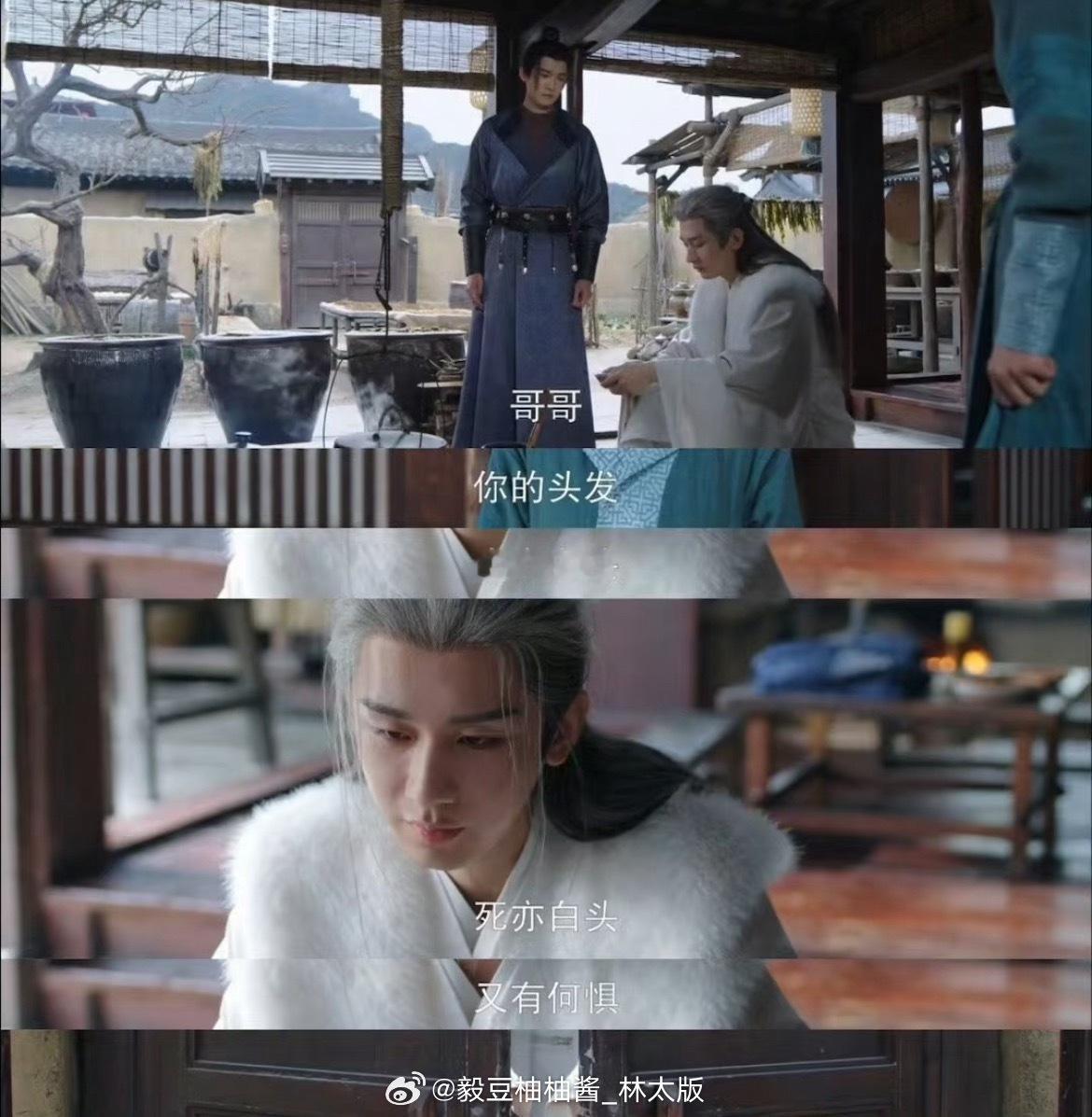 我们知知（谢淮安）值得再看一次花开！~成毅《长安二十四计》将于8月24日（下周一