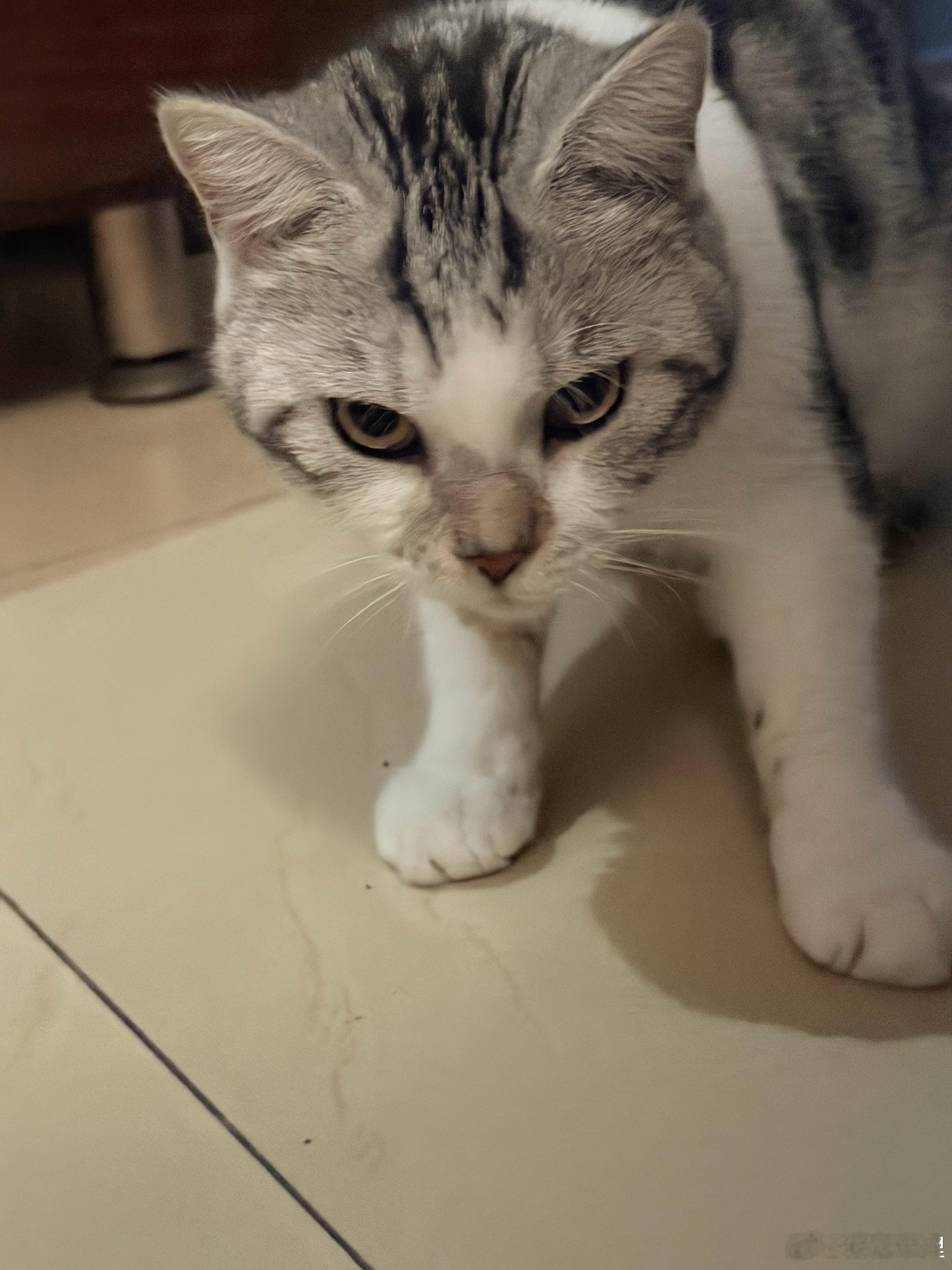 回来就逮了我一口