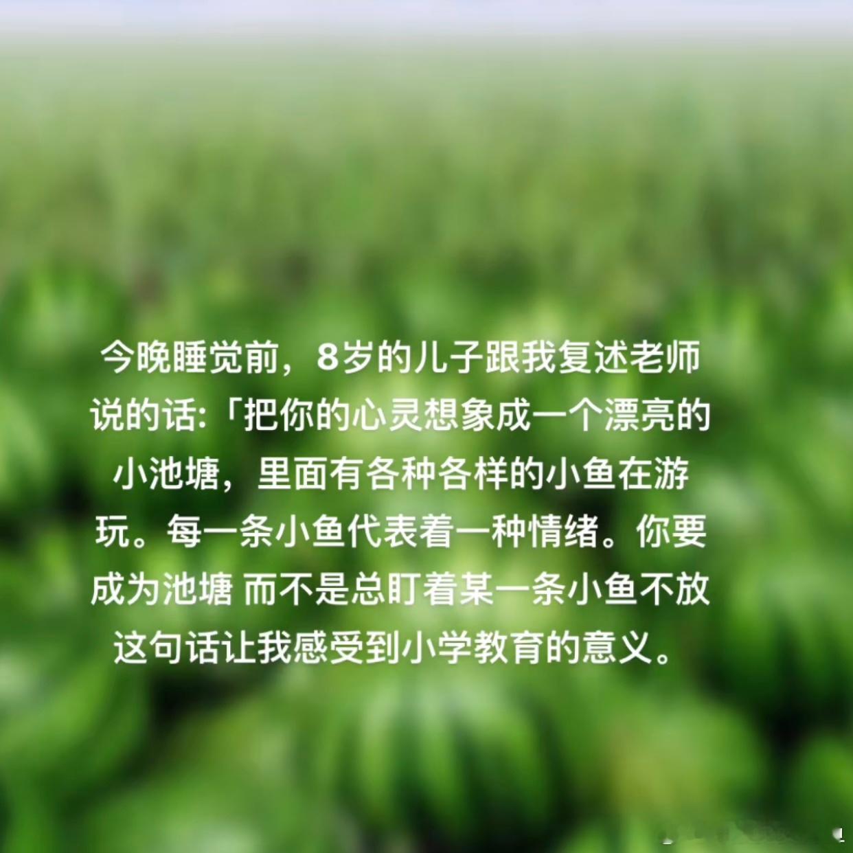 #把你的心灵想象成一个漂亮的小池塘# 被小学老师的这几句话感动到了好美的文字啊！