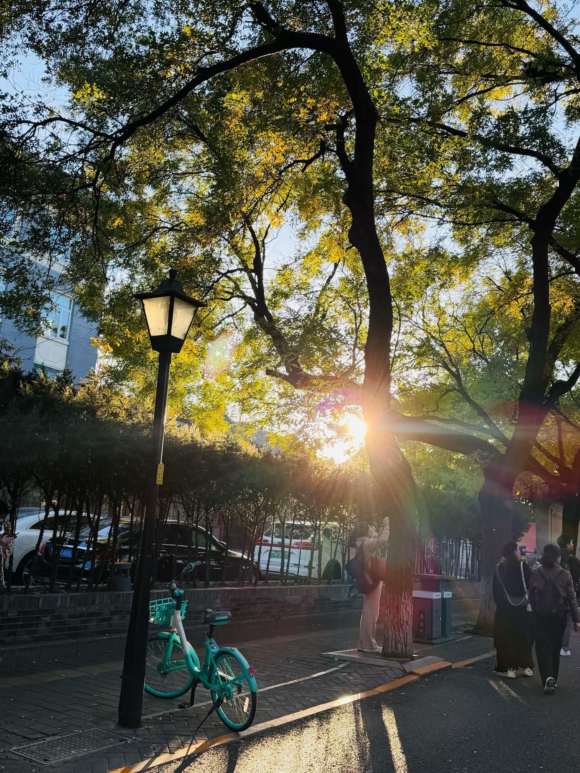 冷空气让懒人变得更懒