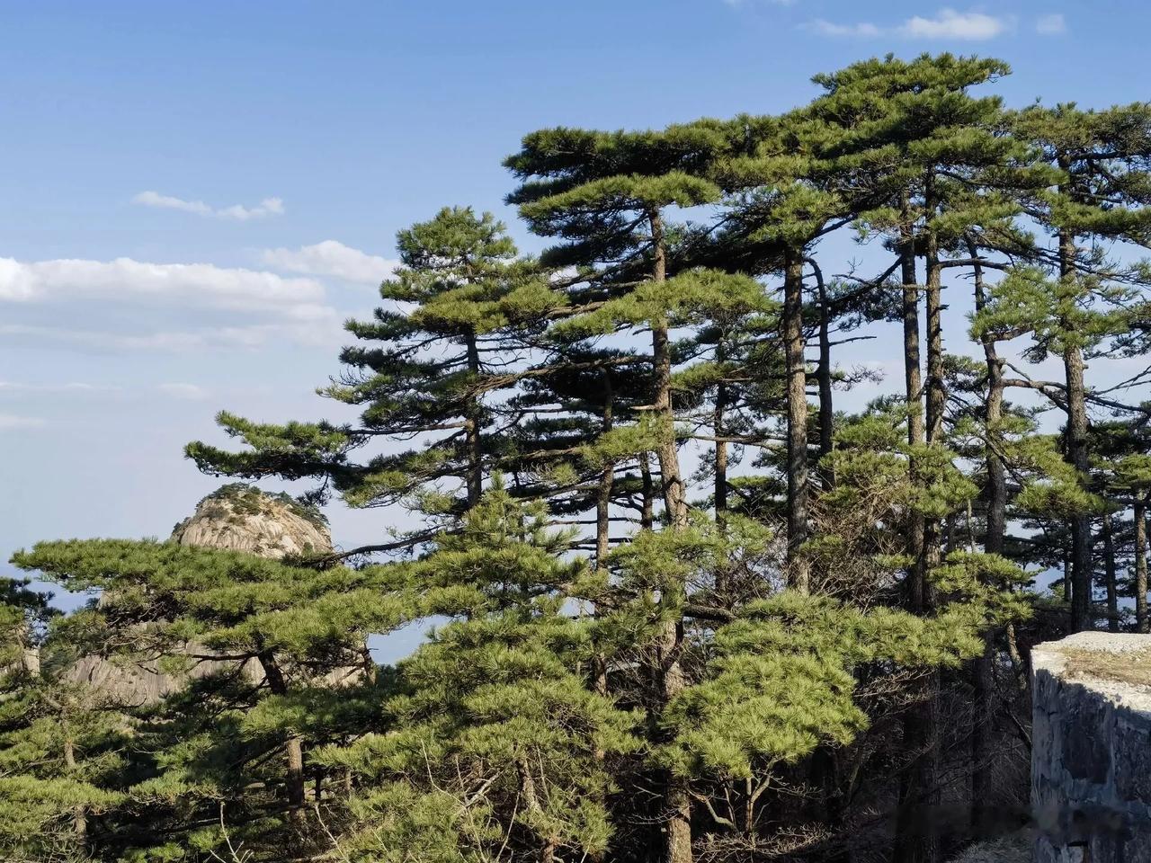 人上井冈山