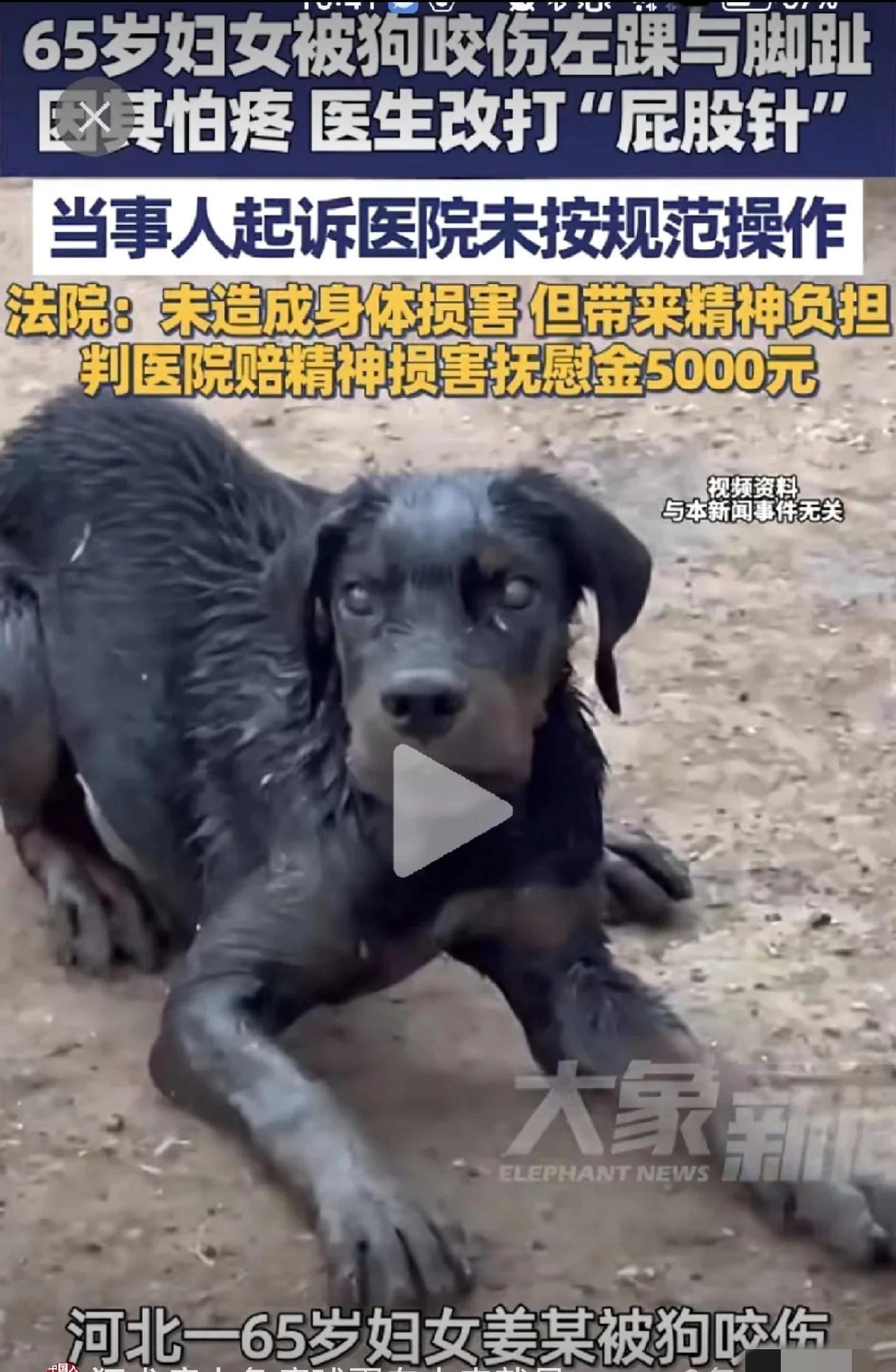 65岁大妈被狗咬脚，因怕疼拒在脚上打针，医生改打“屁股针”，结果大妈以医院操作不