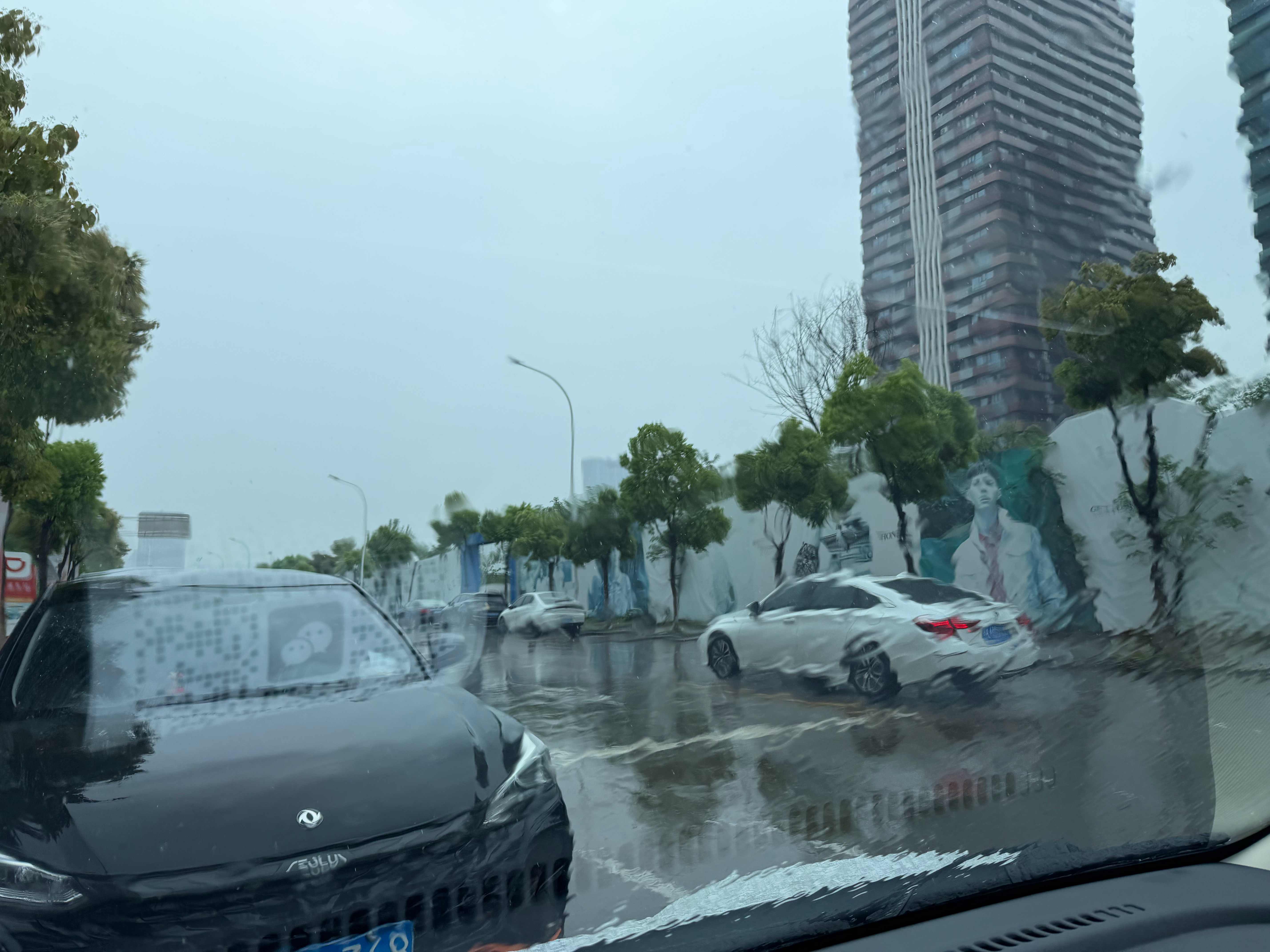 4月的武汉你有一台四驱车会幸福很多雨水太旺盛了撼路者本来很合适的但是油价太高了我