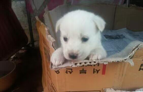 如果本橄榄皮深唇只能断舍离最后只剩下3支口红，我会选择nyx的16号色丝芙兰的0