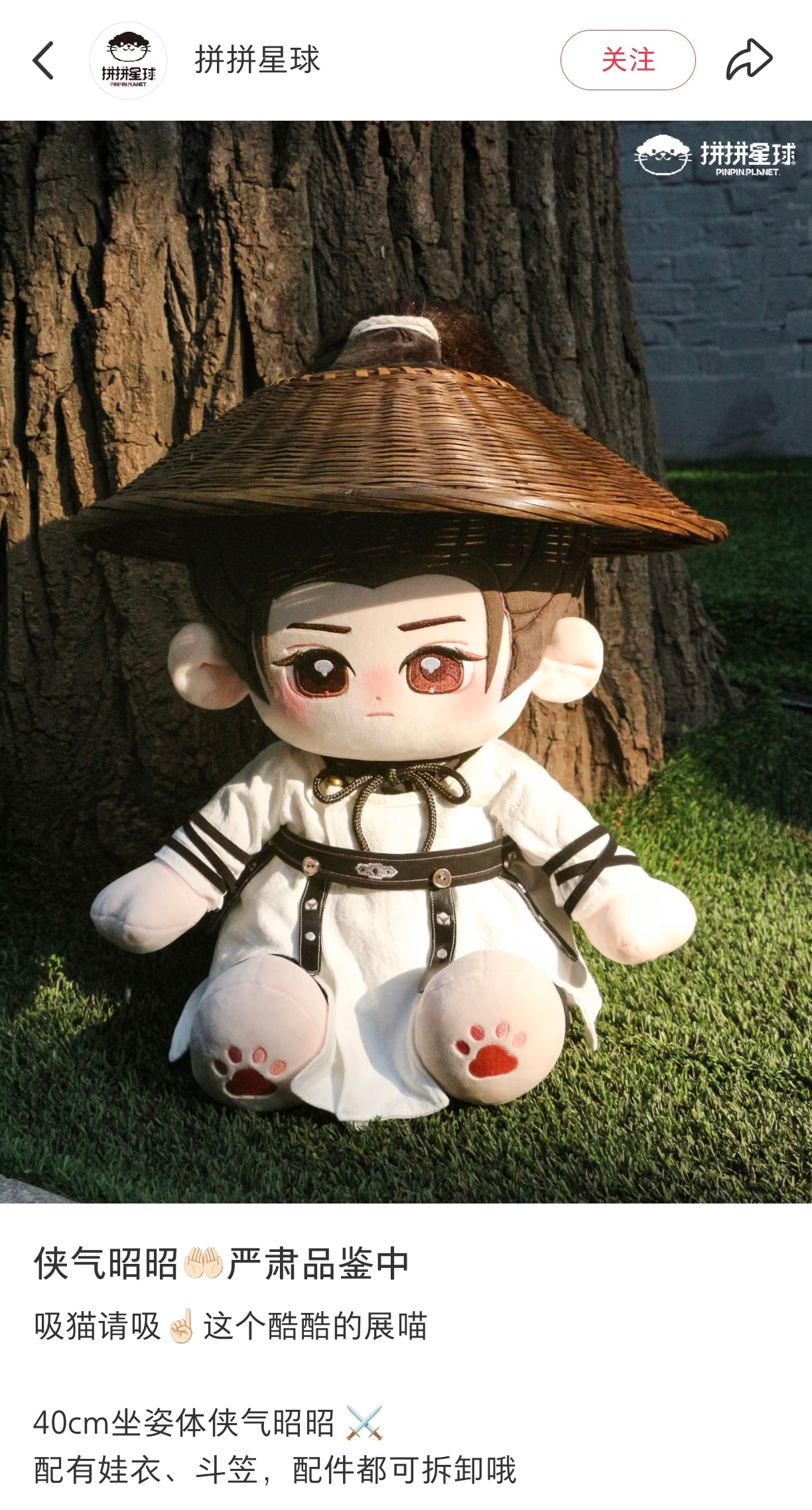 杨洋好想要这个展昭！这个拼拼星球谁买过？杨洋雨霖铃杨洋展昭