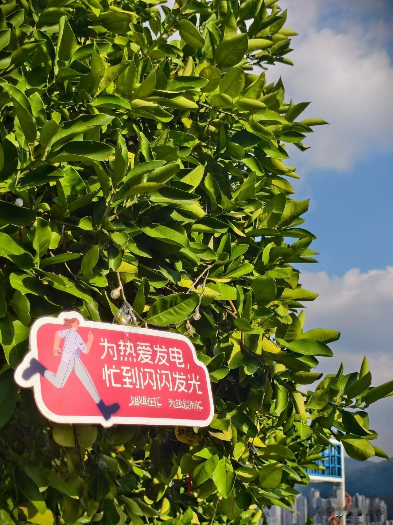 娃长胖别瞎减！儿童减肥和大人根本不是一回事
 
不少家长心里都藏着一个老观念：“