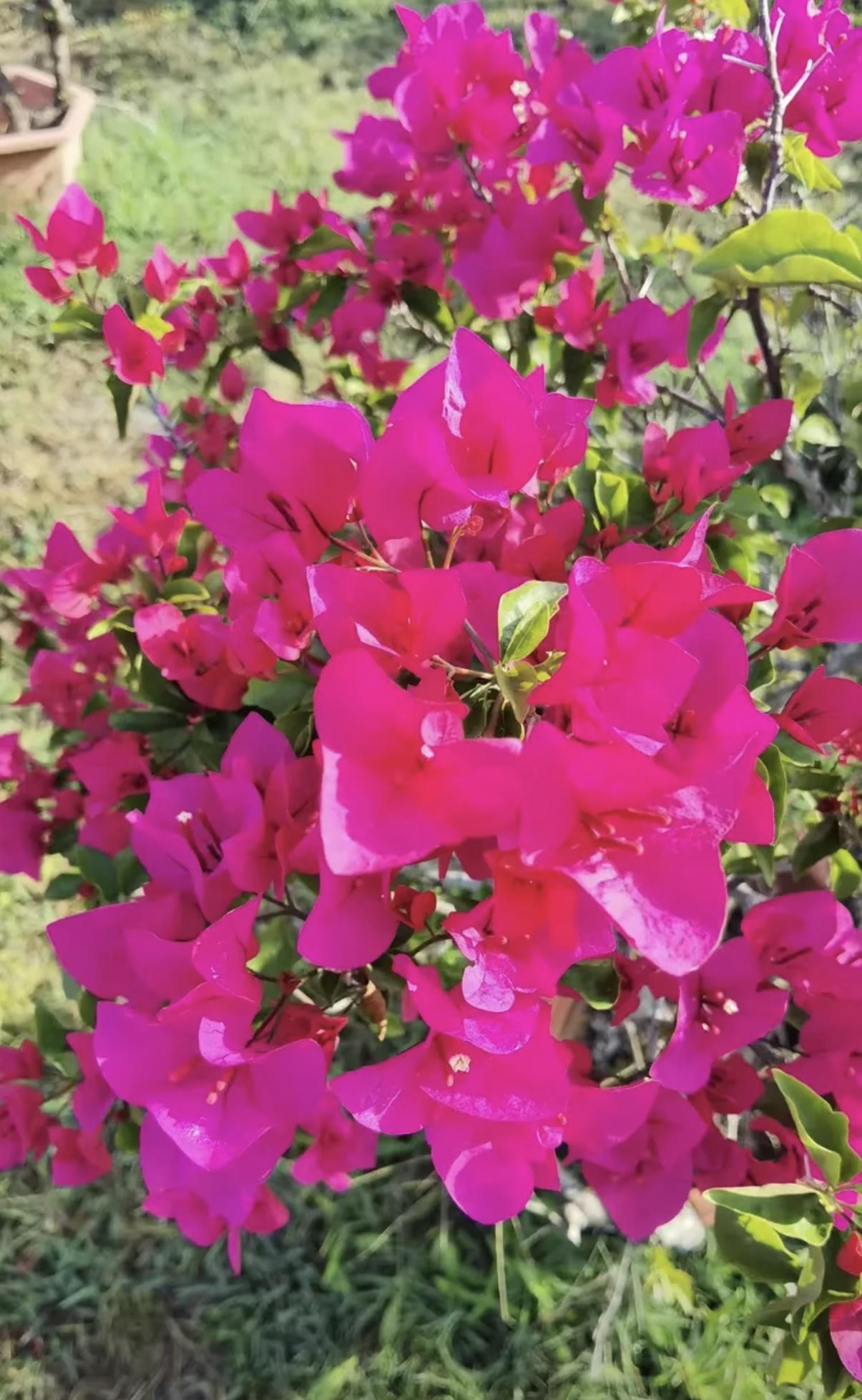 如果病情需要服中药的话。在哪里买药相对的安全性
相对安全的地方 应该是三甲医院的