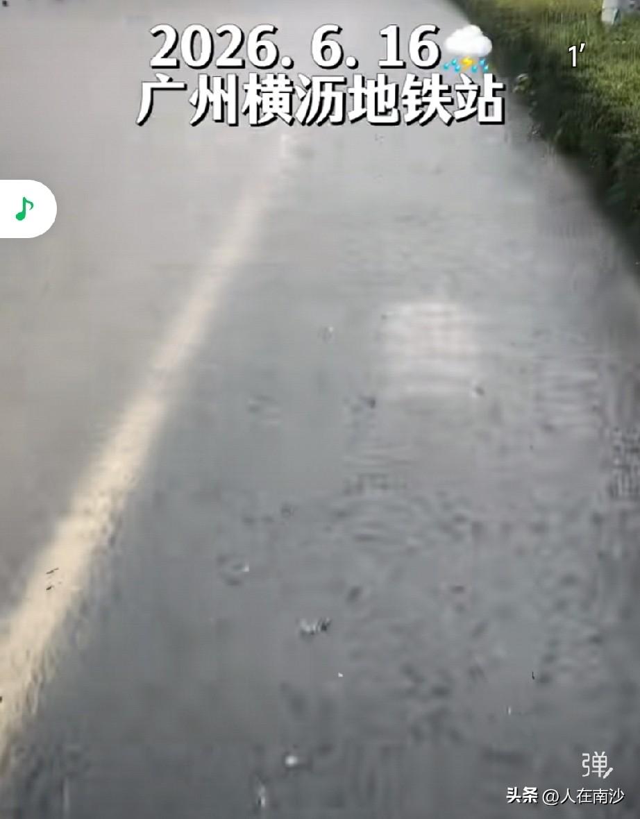 昨天南沙大雨下了一整天，横沥岛也终于淹水了！看有人发的视频，水还挺大的，看到拍摄