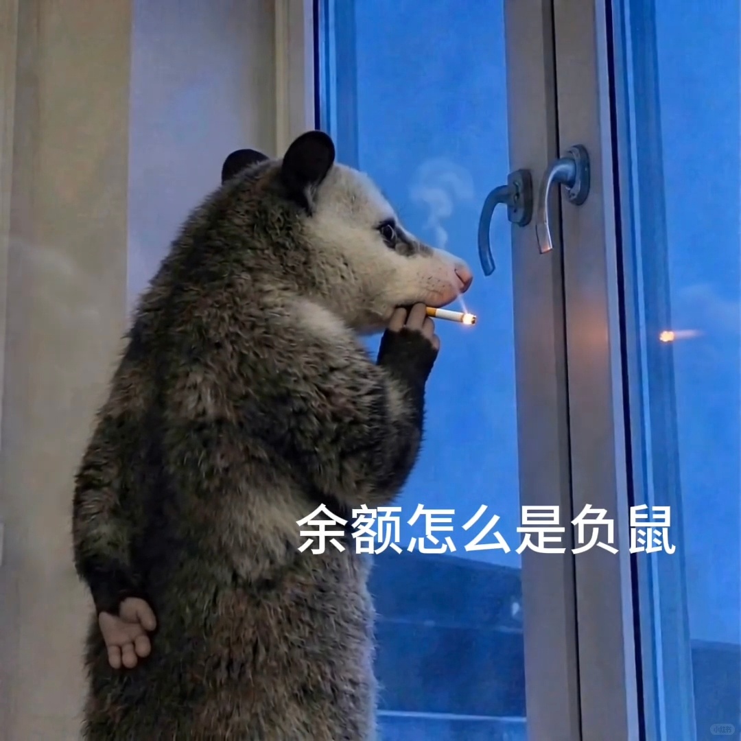 动起来的也萌 