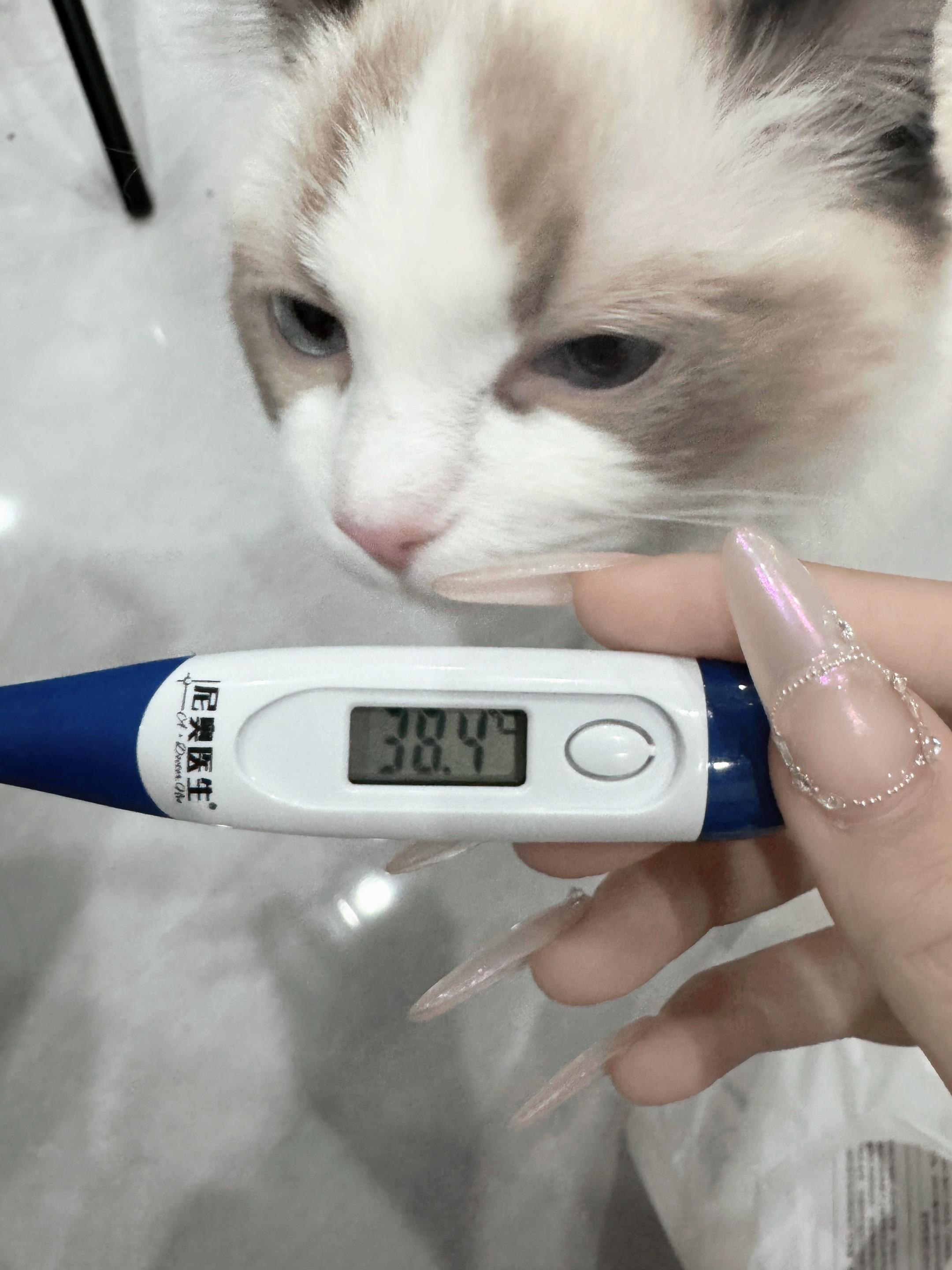 肠胃炎➕🤒今天休息