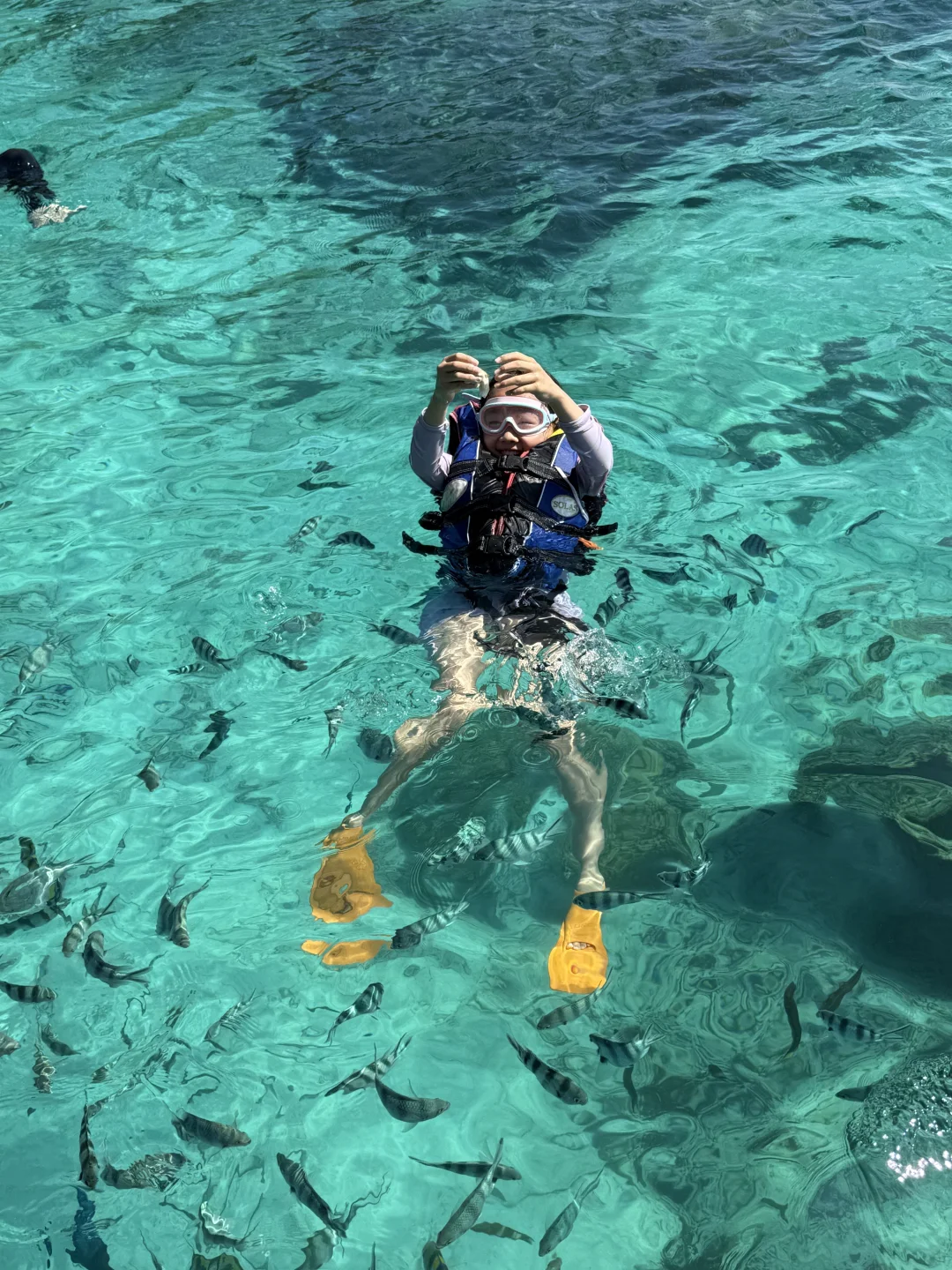 一年只开7个月的小岛❗️一定要跳岛玩❗️