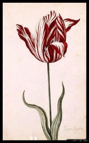 一觉醒来，一切皆涨，今天A股13连阳？先说主要消息1.存储芯片icon又涨价了，