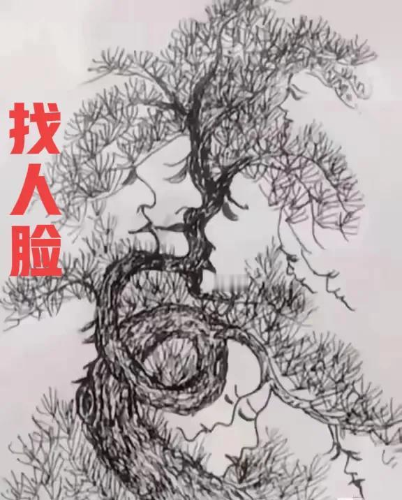你能找到几张人脸？
#逻辑推理谜题# #儿童思维# #趣味动脑筋#