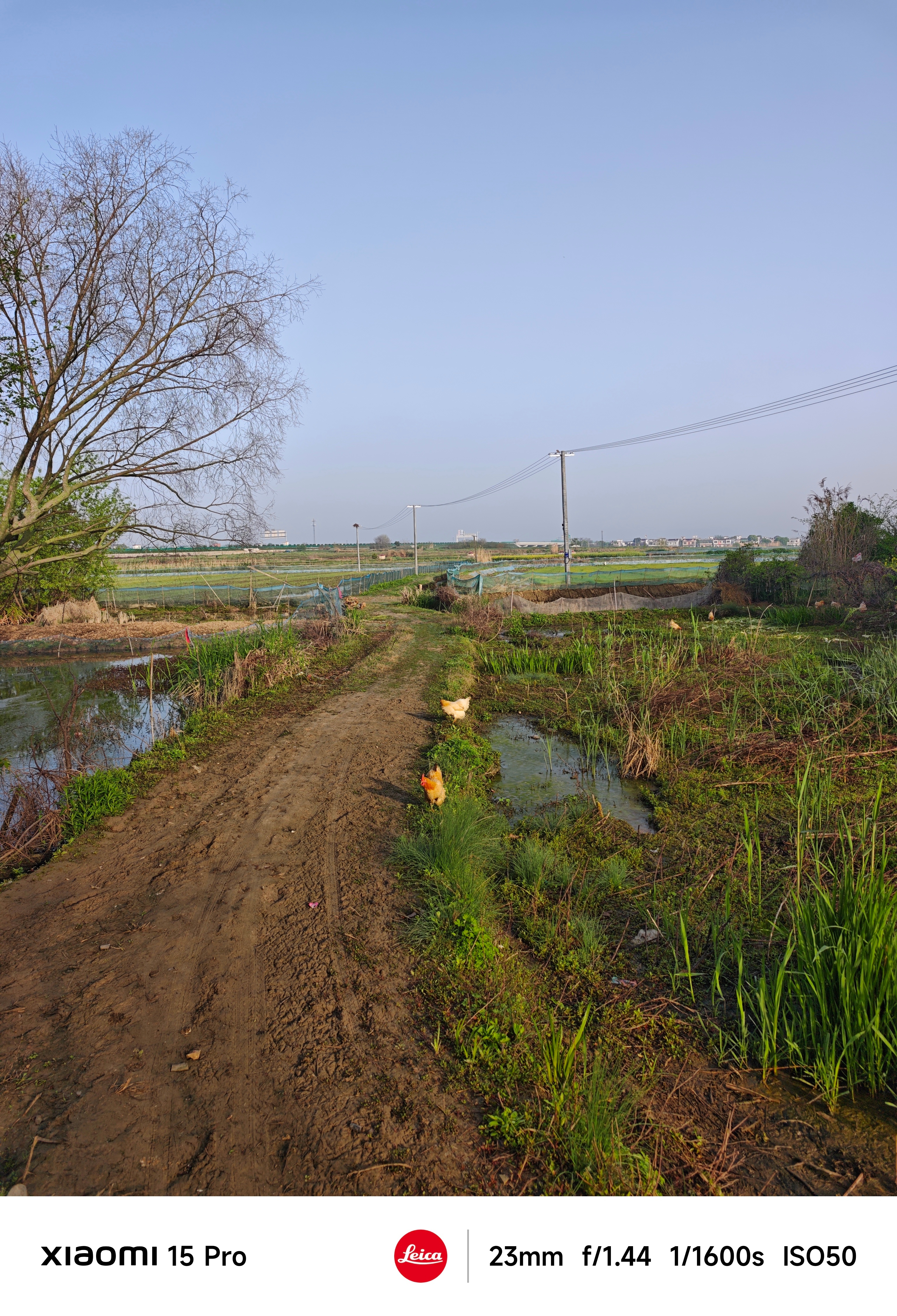 早！朋友们！小伙家住46楼免费看周杰伦演唱会