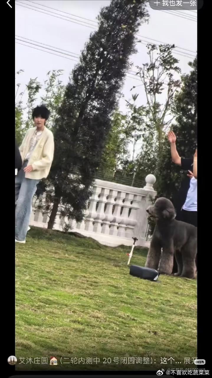 tg 奇皮庄园拍摄(生周）吗？ 