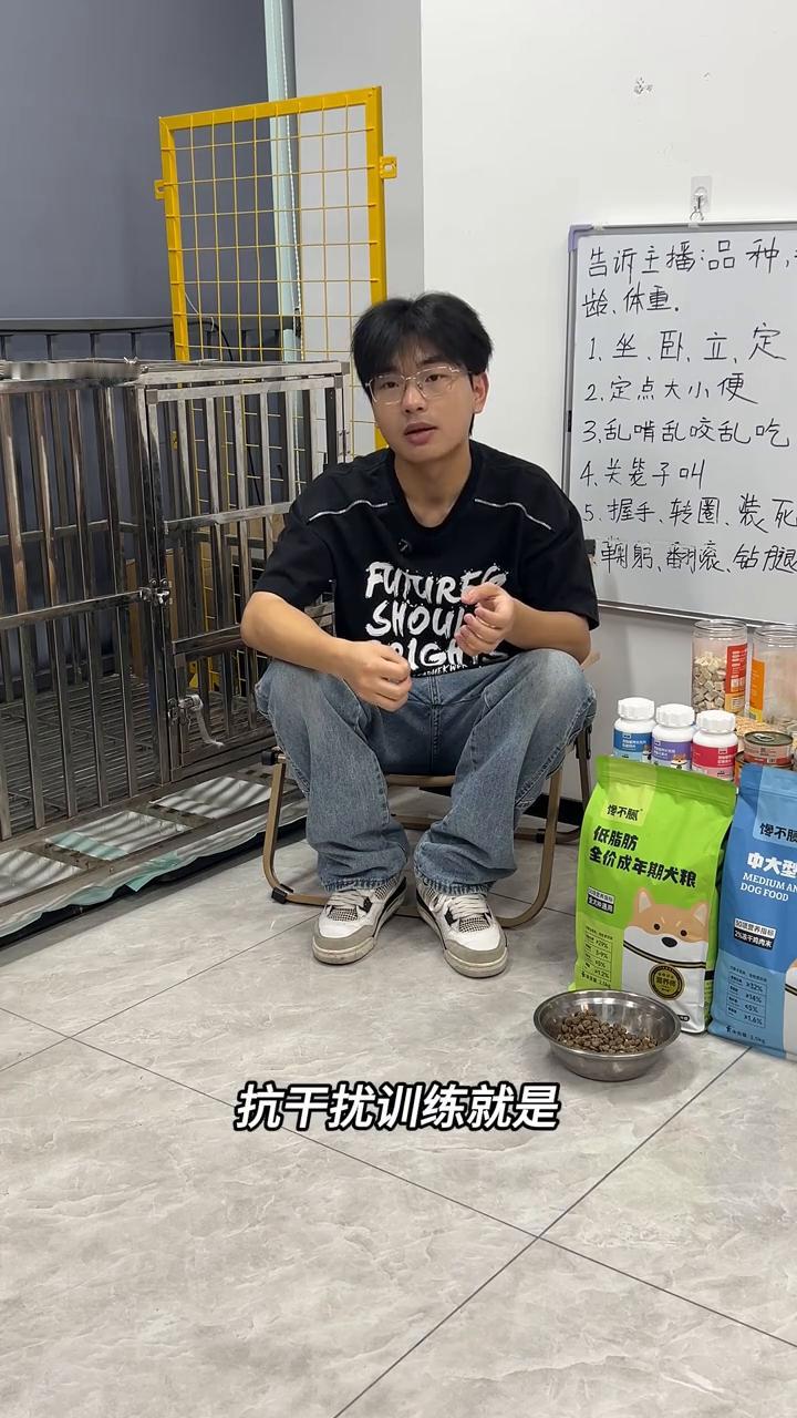 小妮训练日常之抗干扰。
狗狗叫它不回来的原因要么是什么？你以前打了它它害怕，要么