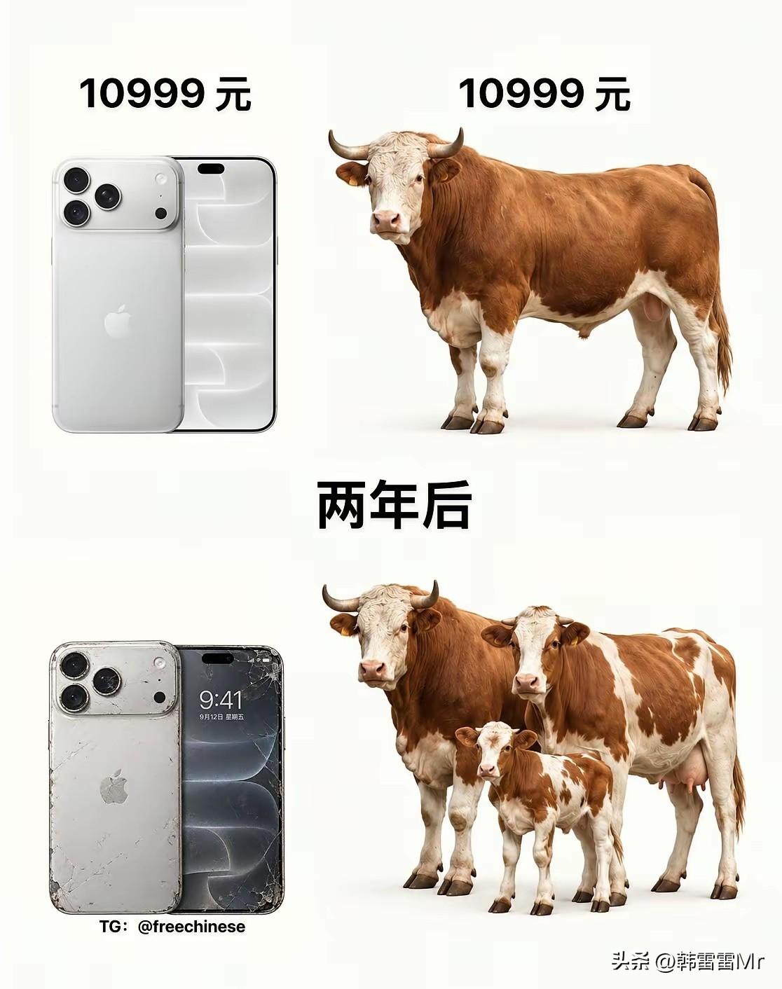 有些人总是把手机物价跟牲畜放在一起比较，总是觉得没有必要买这么好的手机。但是你要