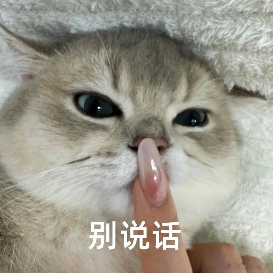 雪饼猴去象牙山给长春长脸了雪饼猴从长春火到象牙山了谁能拒绝雪饼猴！现身象牙山掀起