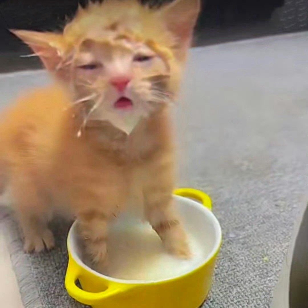 #古茗主播直播找美瞳#不是我说你们古茗直播间怎么这么多乐子啊，竟然还能看到主播当