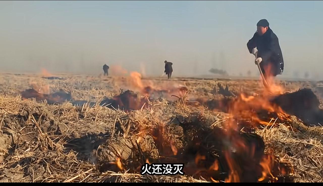 湖南秋收，最近爆出一件让人震惊的事，相邻三个乡镇稻田连片起火，漫天黑烟铺天盖地，
