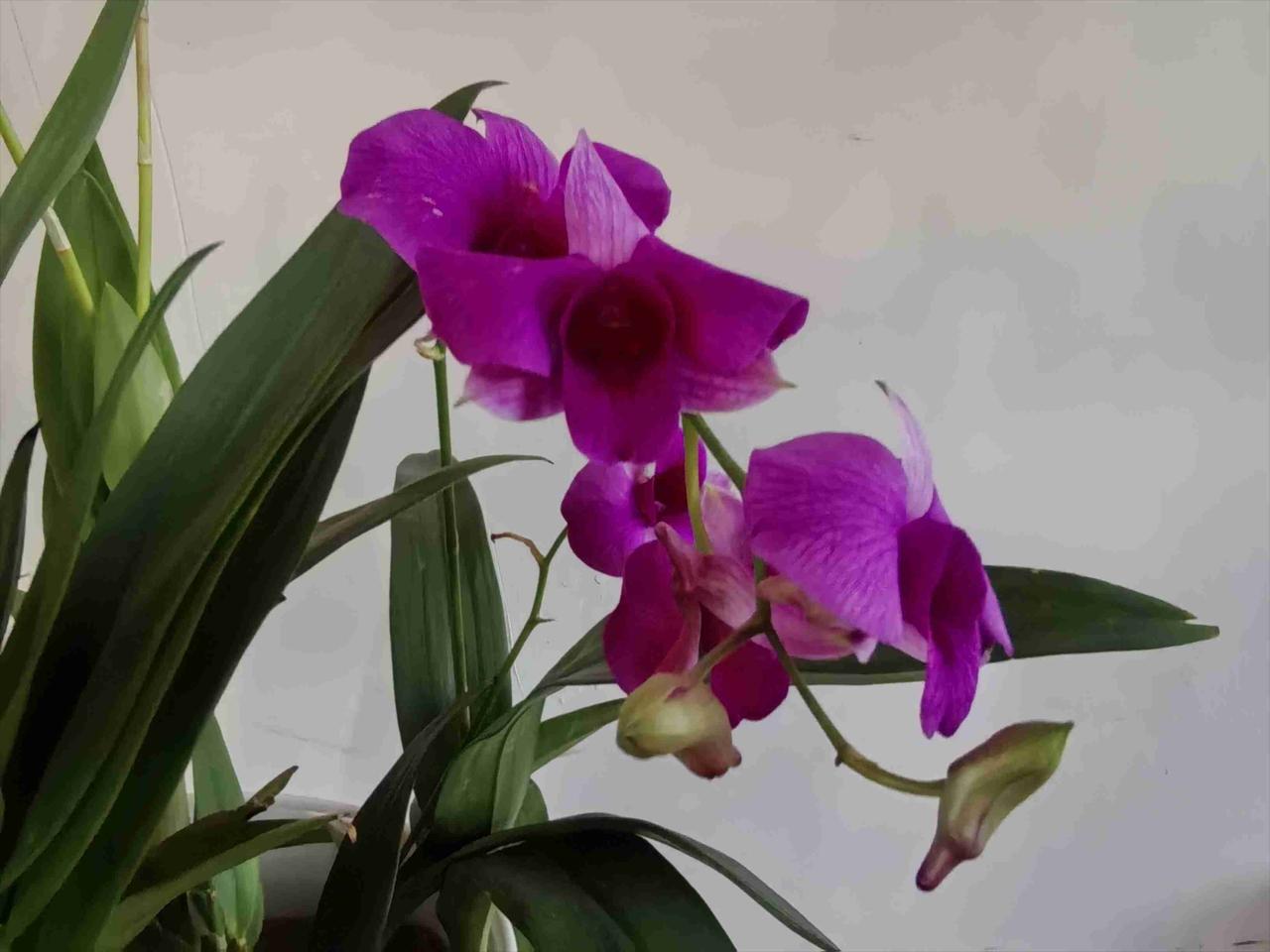 真是忙碌的一天，上午去学校参加活动，欢迎有两名同事光荣退休。

有友友要说你不是