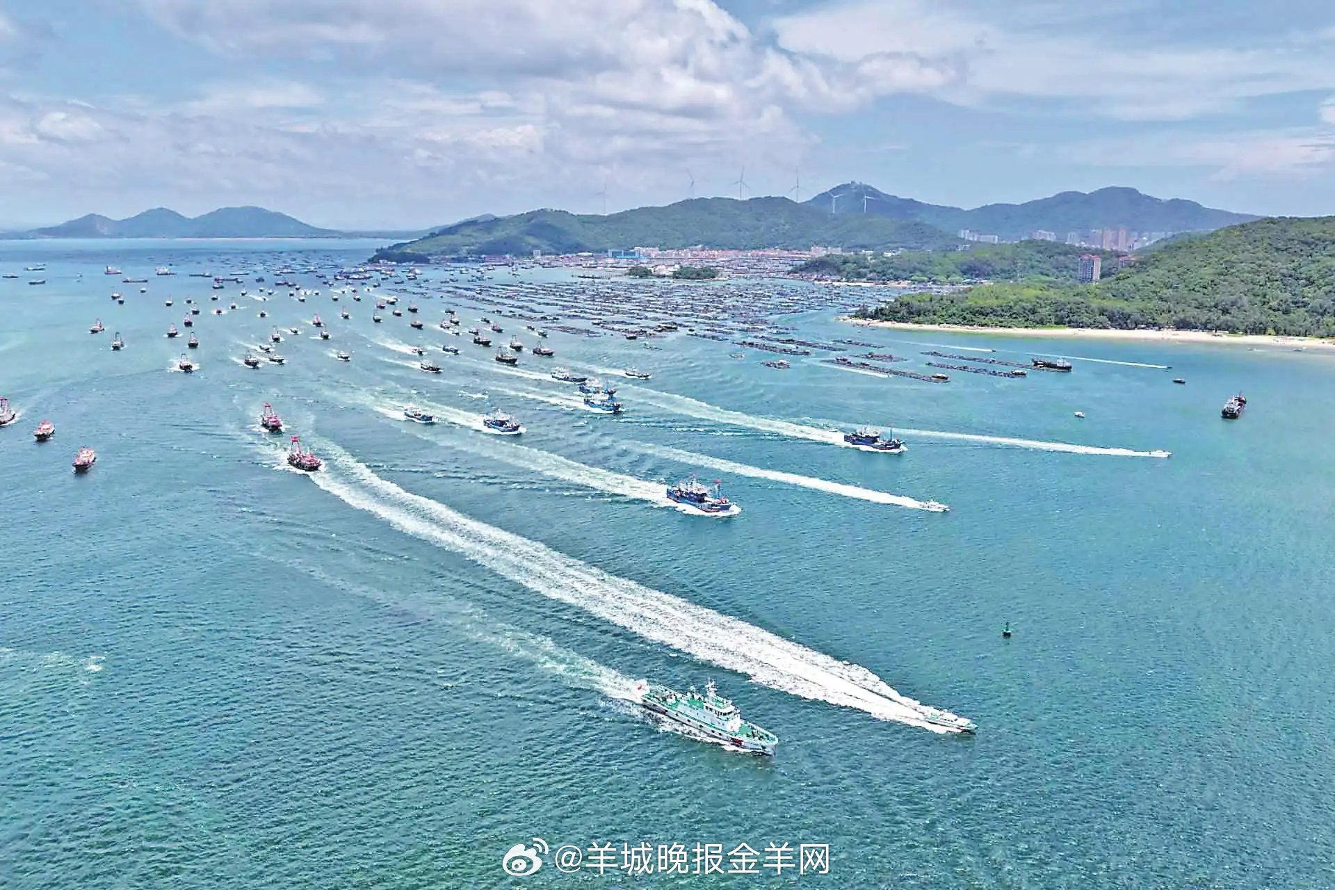【开渔啦！#广东开撒今秋“第一网”# 各地举行形式多样开渔启动仪式】开渔啦！8月