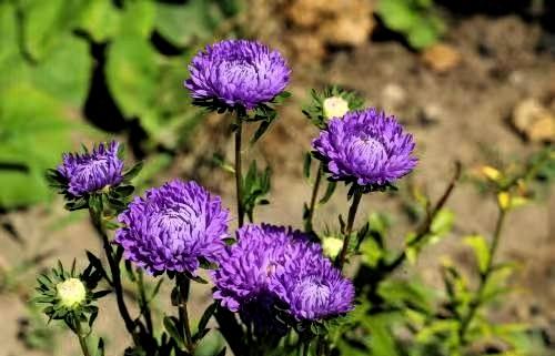 老板打电话给厂长，说厂要招年轻些的员工，超过35岁的不要。
 
厂长听闻后十分无