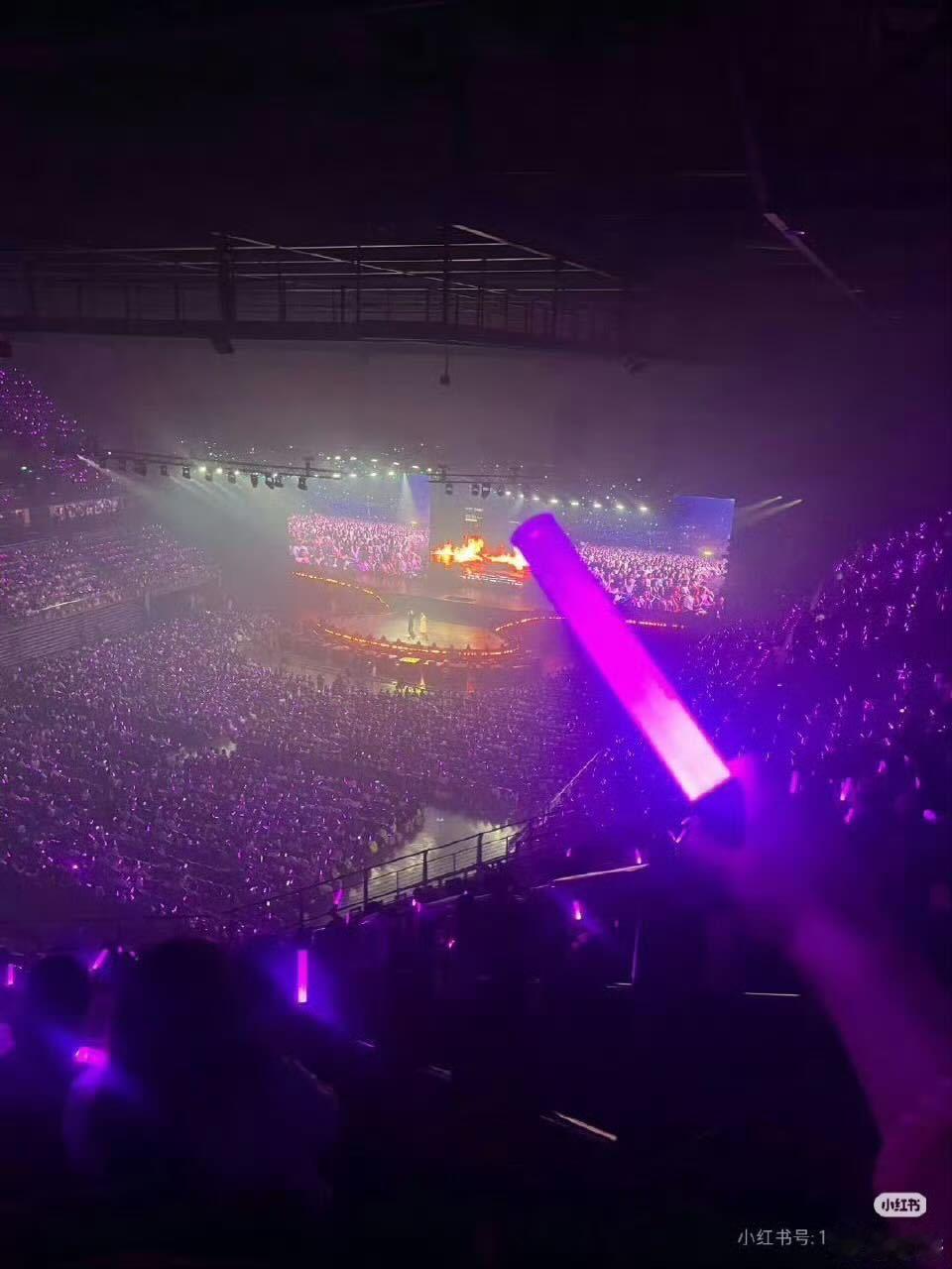 赵露思演唱会上座率牛批 