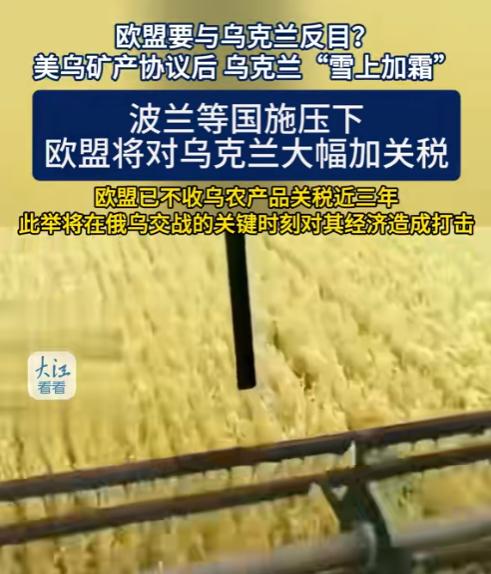 俄乌局势走向将迎来关键时期，美欧两记重锤砸向基辅，泽连斯基恐要低头！

在谈判前