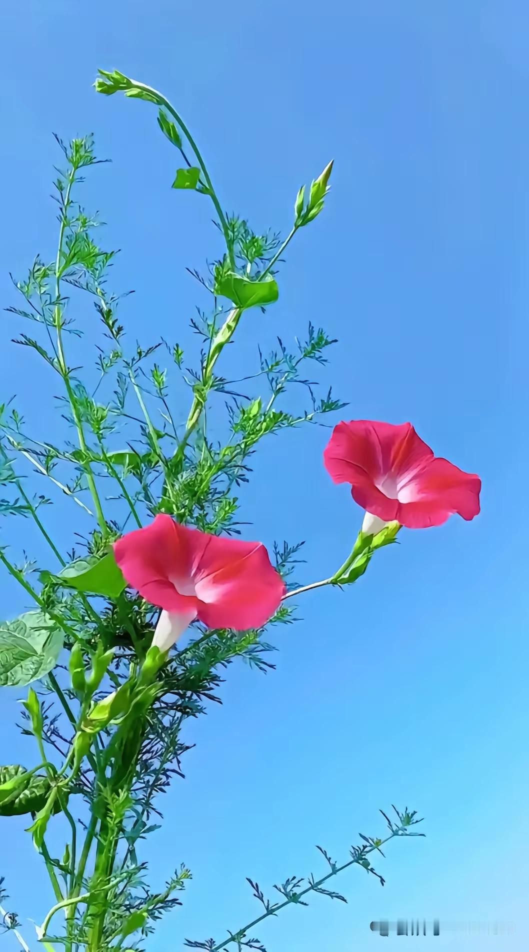 最近几年感觉坏人恶人特别多，其实可能是信息传播变快了。
以前，一个地方出现坏事，