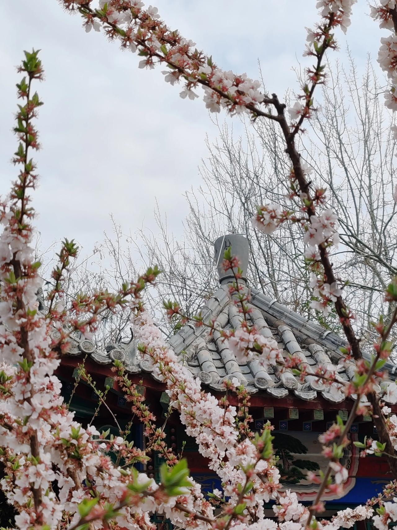 春日生活打卡季春日随拍。
