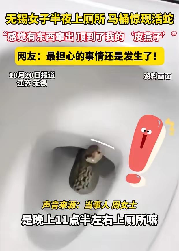 江苏无锡周女士半夜上厕所，

   居然被下水道钻出来的蛇顶到了“皮燕子”，
