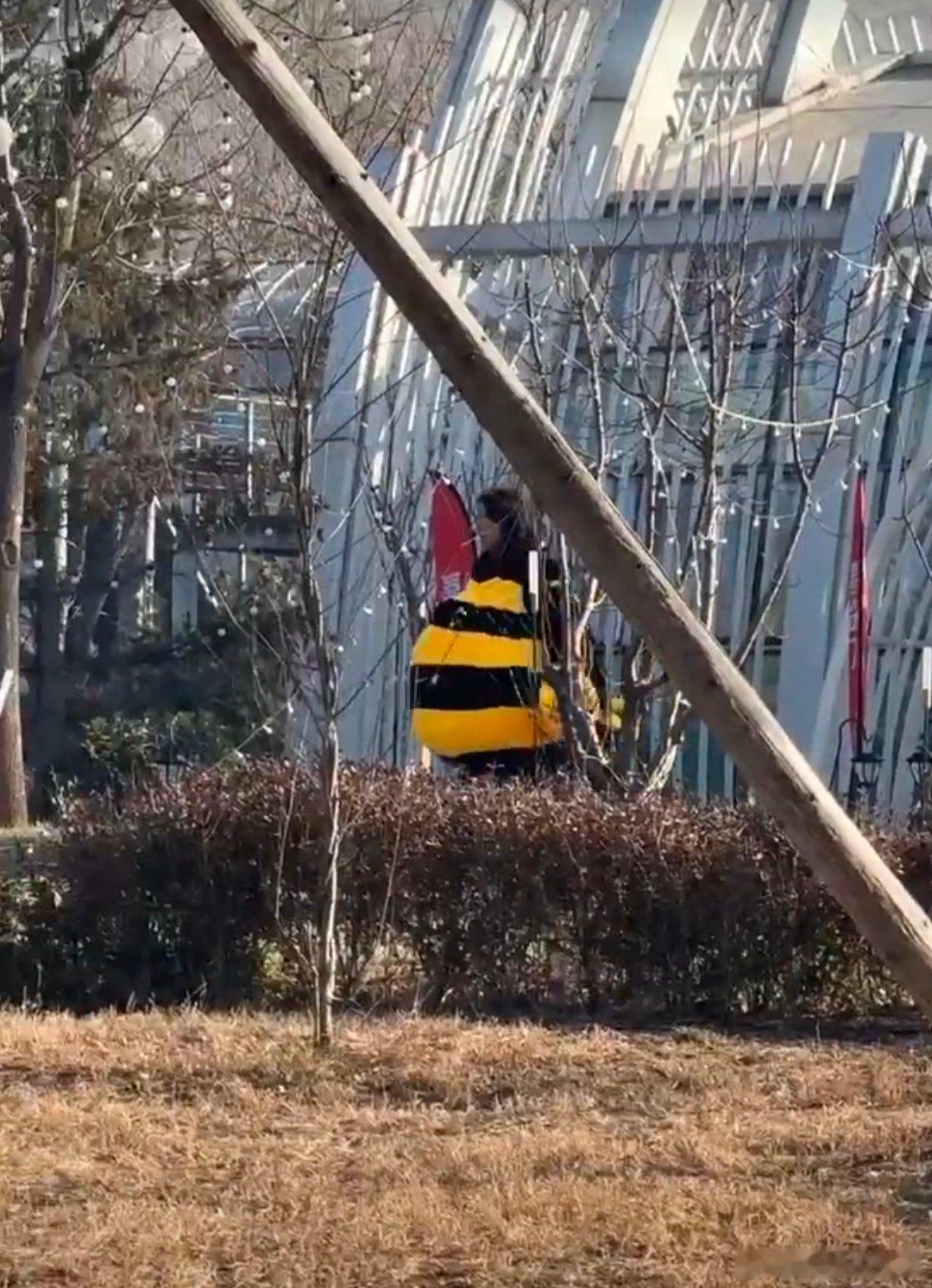 魏大勋帮高叶拉拉链周五晚高疯 蜜蜂服都挡不住的绅士感！魏大勋路透里一边穿得像只大