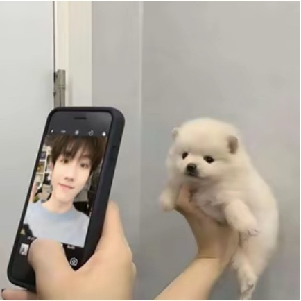 这个好萌啊，有原图吗，我在伪🫘plq看到的，找不到原图😭 