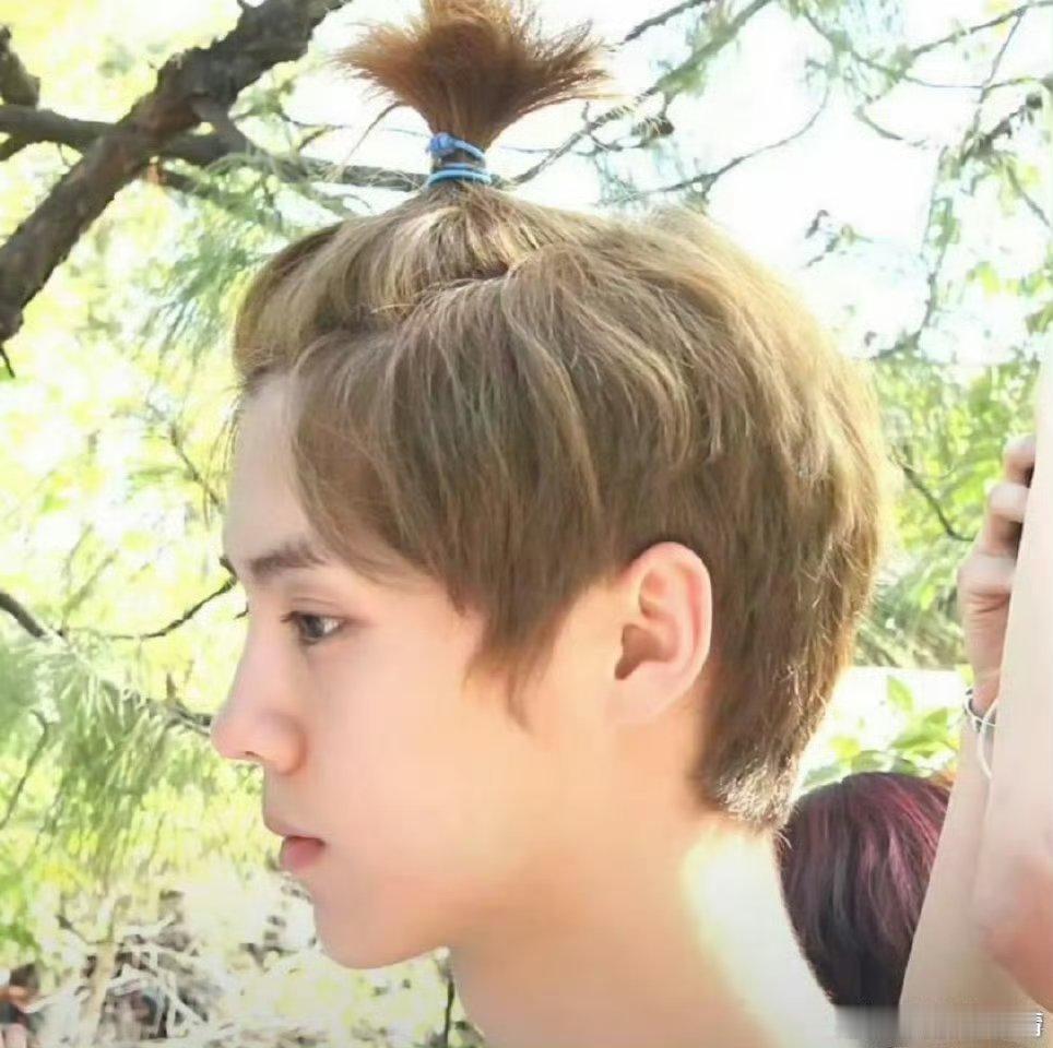 鹿晗工作室 躺平粉丝恨工作室不给力，又维权了，正主都躺平了，工作室为啥不躺平？他