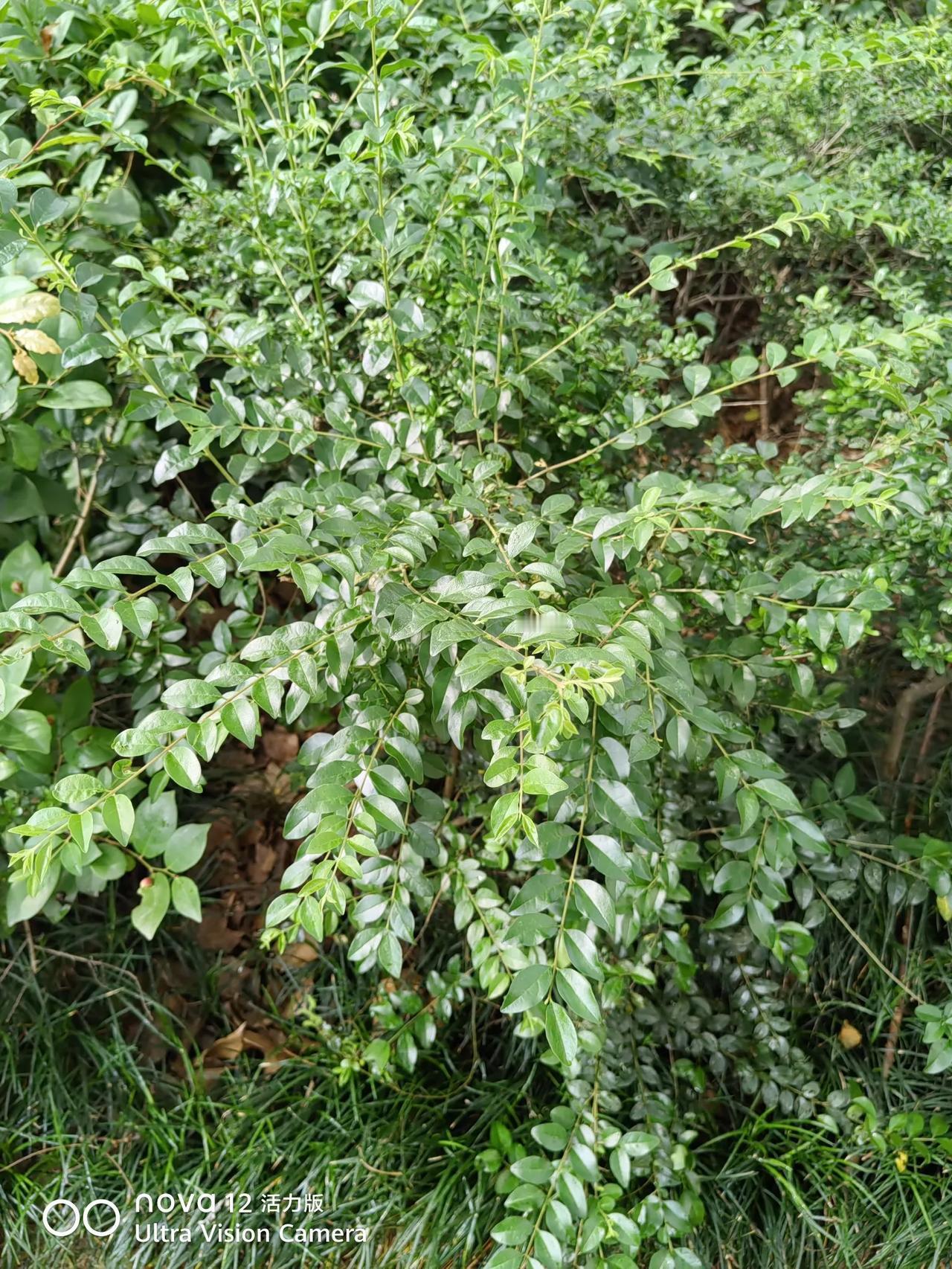 迎端午粽香纳福戳这里，一起领红包>分享今日心情！我天天刷金币，没想到芭芭农场，还