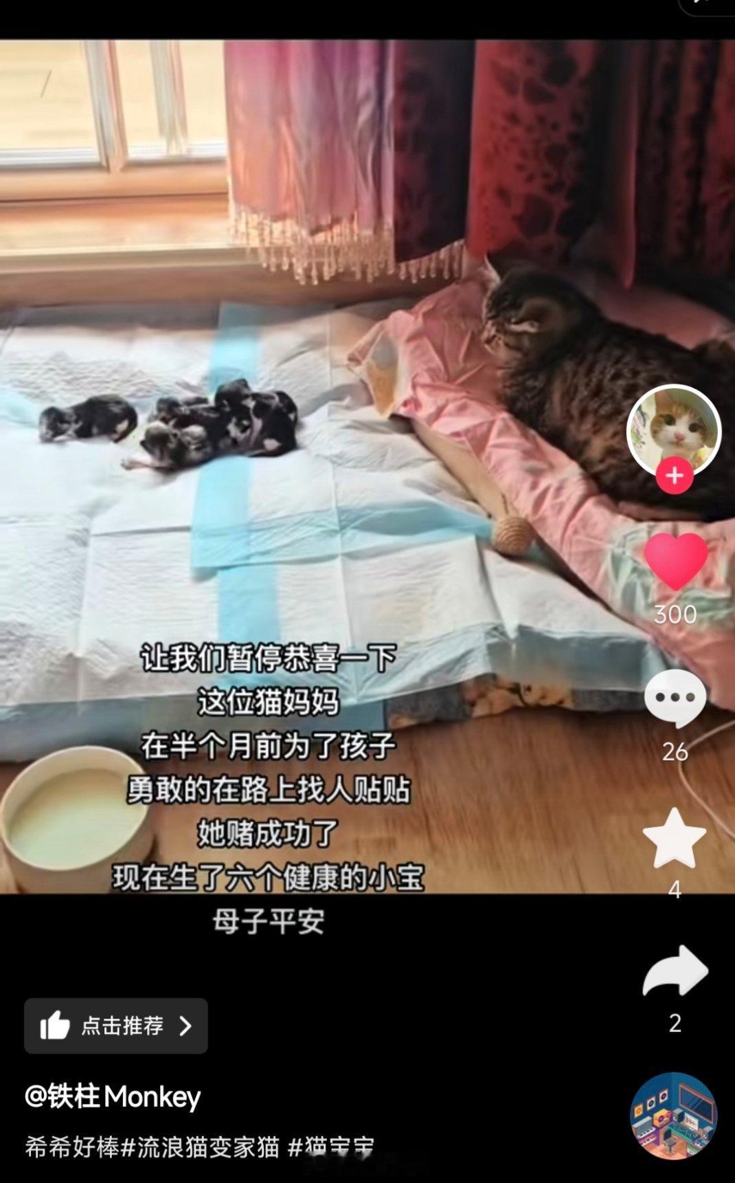 所有人暂停一下上网吧！让我们来恭喜一下这位勇敢的母亲，平安诞下六子[送花花] ​