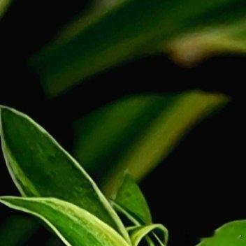 残言断章，琉璃碎影，秋风迟语，何事悲欢由自取，自己想要的是一个独立的空间，在这个