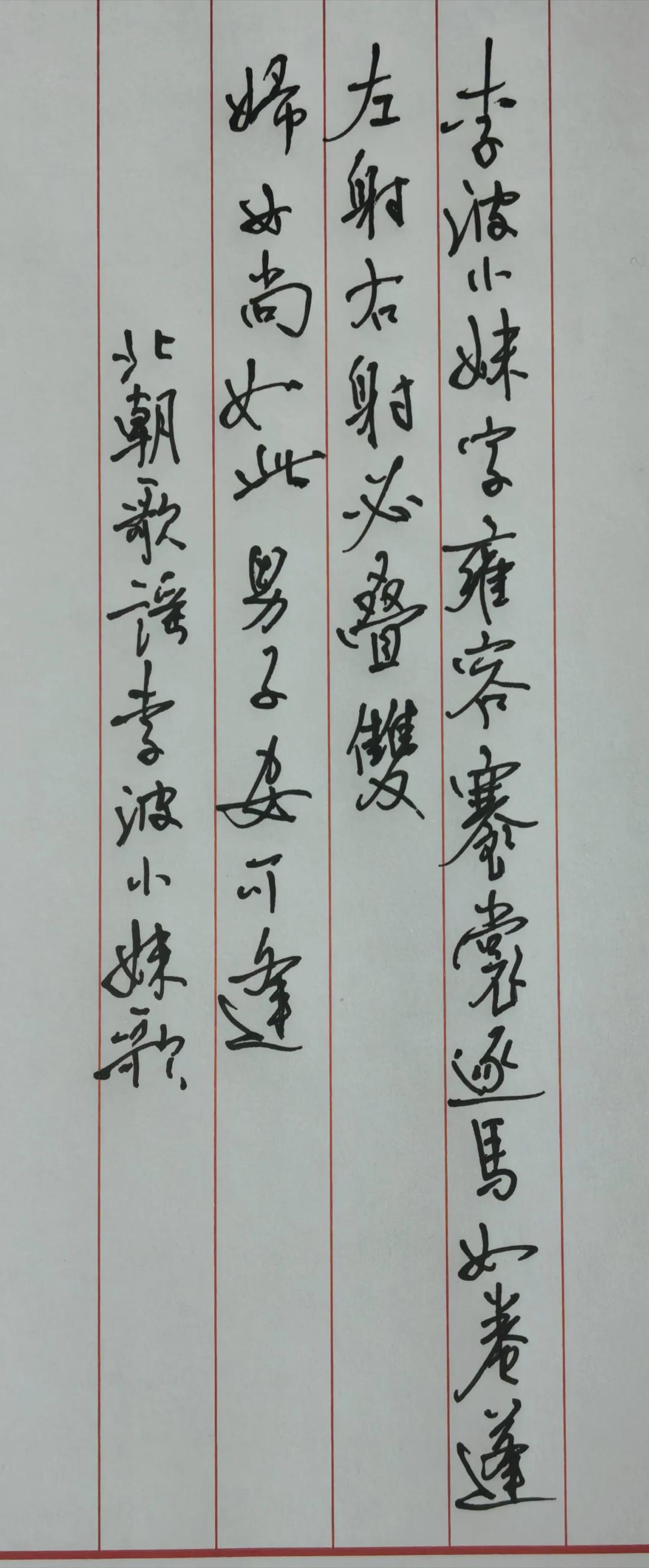 中性笔1.0抄写。
诗文原文
李波小妹字雍容，
褰裳逐马如卷蓬。
左射右射必叠双