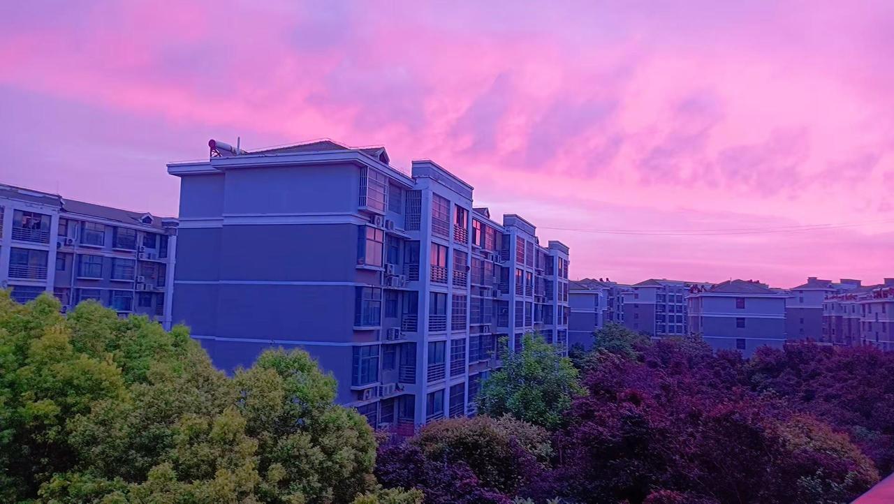 早起的好处是可以看到美丽的风景，但会瞬间消失。