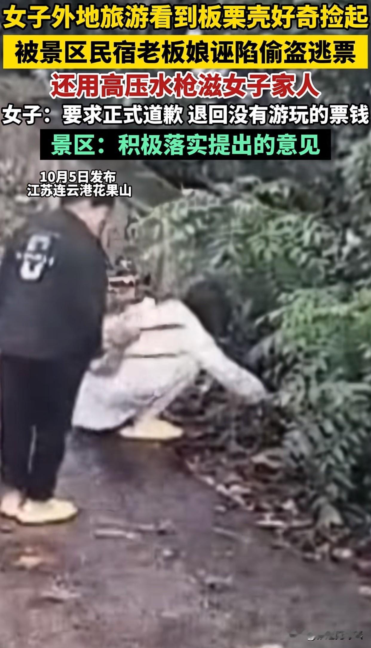 “连云港这次可算出名了！”
国庆期间，有外地游客捡了路边的几个板栗，结果被民宿老